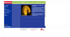 Desktop Screenshot of plaspack.at